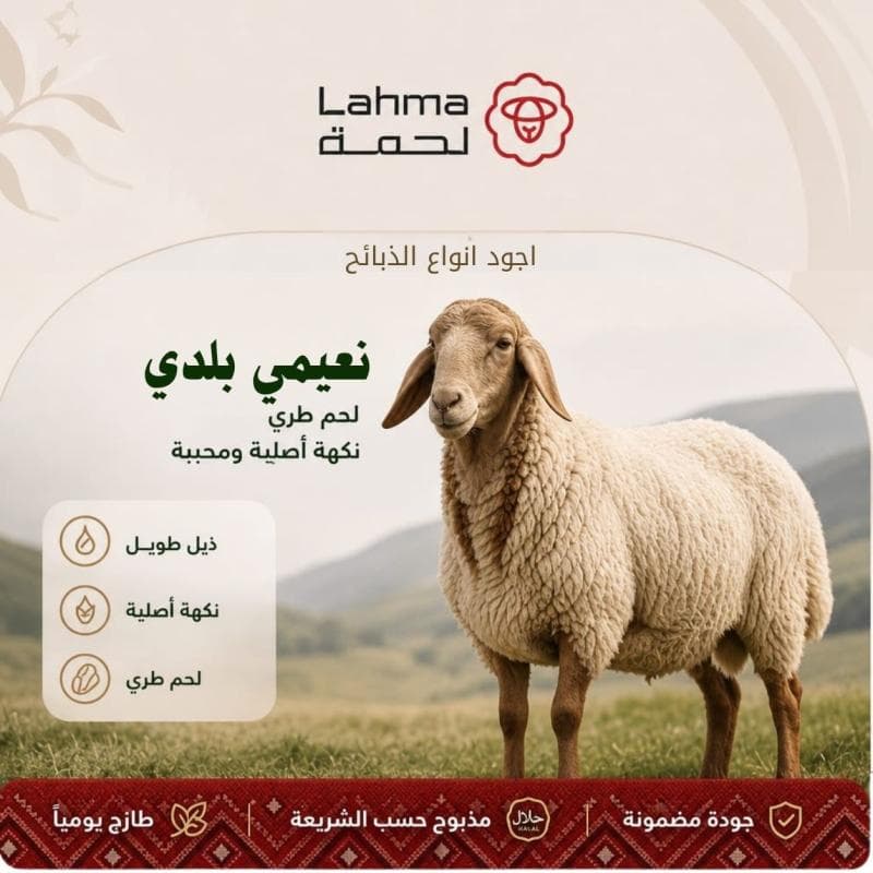 نعيمي
