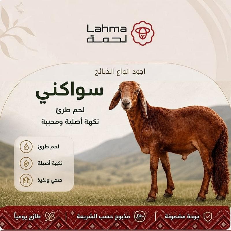 سواكني صغير (15-18 كيلو)